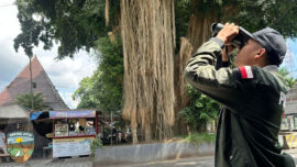 Burung Kuntul Blitar